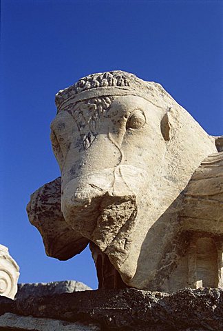 Close-up of carving, archaeological site, Ephesus, Anatolia, Turkey, Asia Minor