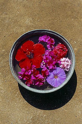 Gumusluk, near Bodrum, Anatolia, Turkey, Asia Minor, Asia