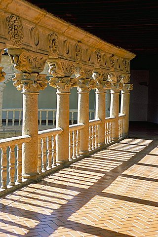 Fine cloisters of the Convento de las Duenas, Salamanca, Spain, Europe