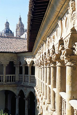 Fine cloisters of the Convento de las Duenas, Salamanca, Spain, Europe