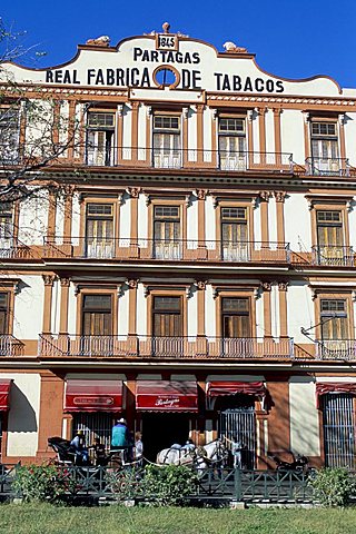 Real Fabrica de Tabacos Partagas, Cuba's best cigar factory, Havana, Cuba, West Indies, Central America