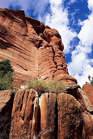 Red Rocks, Sedona, Arizona, United States of America, North America