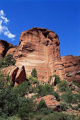 Red Rocks, Sedona, Arizona, United States of America, North America