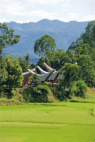 Houses near the highest mountain in Toraja, Toraja area, Sulawesi, Indonesia