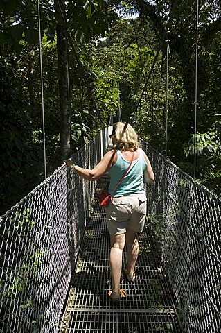 Hanging Bridges, a walk through the rainforest, Arenal, Costa Rica, Central America