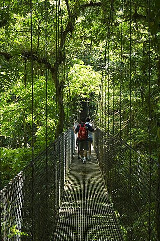 Hanging Bridges, a walk through the rainforest, Arenal, Costa Rica, Central America