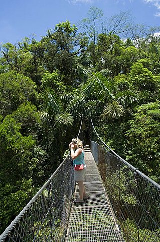 Hanging Bridges, a walk through the rainforest, Arenal, Costa Rica, Central America