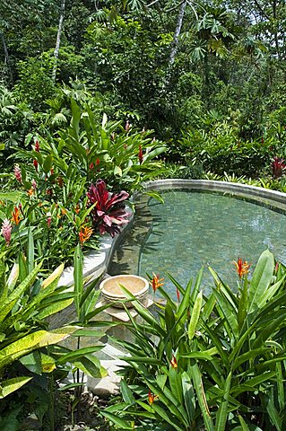 Tabacon Hot Springs, volcanic hot springs fed from the Arenal Volcano, Arenal, Costa Rica, Central America