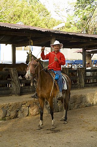 Horses, Hacienda Guachipelin, near Rincon de la Vieja National Park, Guanacaste, Costa Rica, Central America