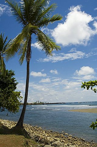 Quepos, Pacific Coast, Costa Rica, Central America