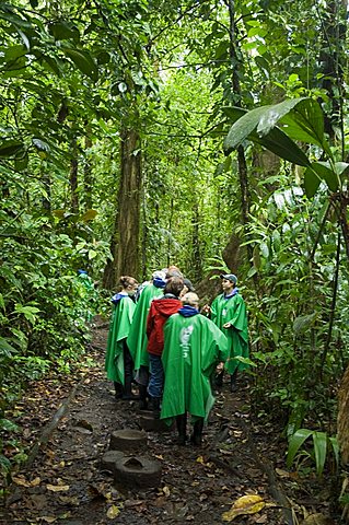 Walking in the rain forest, Tortuguero National Park, Costa Rica, Central America