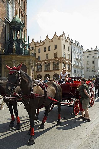 Horse and carriages in Main Market Square (Rynek Glowny), Old Town District (Stare Miasto), Krakow (Cracow), UNESCO World Heritage Site, Poland, Europe