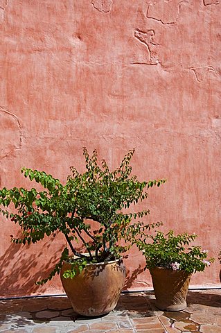 Camino Real Hotel in the 16th century Convent of Santa Catalina, Oaxaca City, Oaxaca, Mexico, North America