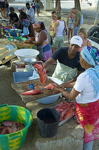 Fish market in the main town of Sal Rei, Boa Vista, Cape Verde Islands, Africa