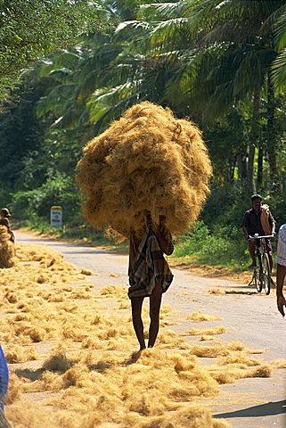 Man carrying coir fibre on his head, Tamil Nadu state, India, Asia