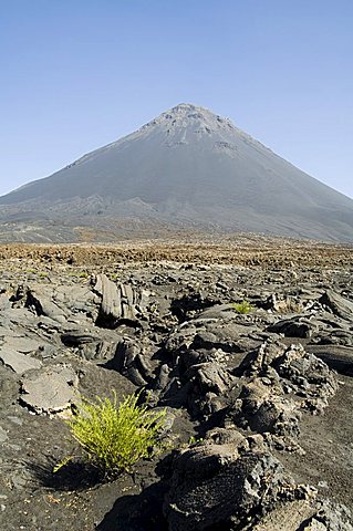 View from the caldera of the volcano of Pico de Fogo, Fogo (Fire), Cape Verde Islands, Africa