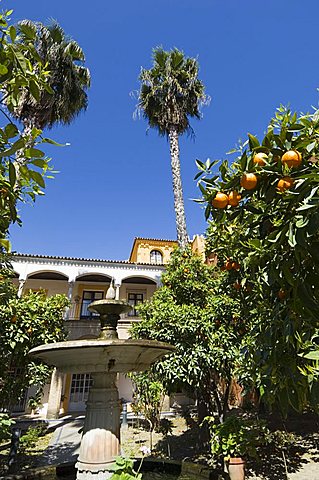 The gardens of the Real Alcazar, Santa Cruz district, Seville, Andalusia (Andalucia), Spain, Europe