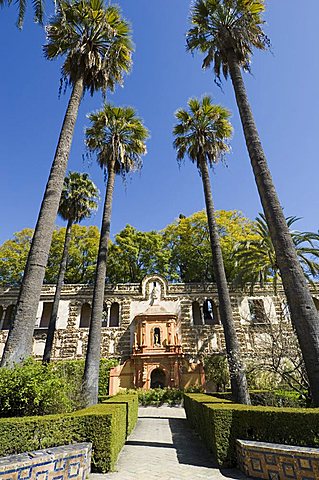 The gardens of the Real Alcazar, Santa Cruz district, Seville, Andalusia (Andalucia), Spain, Europe