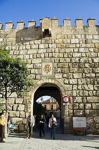 Outer walls of the Real Alcazar just outside the exit, Santa Cruz district, Seville, Andalusia (Andalucia), Spain, Europe