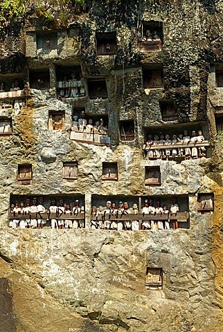 Lemo cliff tombs, Toraja area, Sulawesi, Indonesia, Southeast Asia, Asia