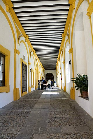 Real Alcazar, Santa Cruz district, Seville, Andalusia (Andalucia), Spain, Europe