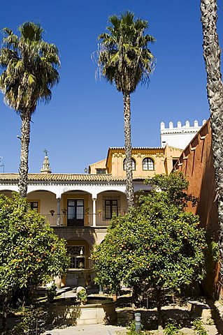 The gardens of the Real Alcazar, UNESCO World Heritage Site, Santa Cruz district, Seville, Andalusia (Andalucia), Spain, Europe