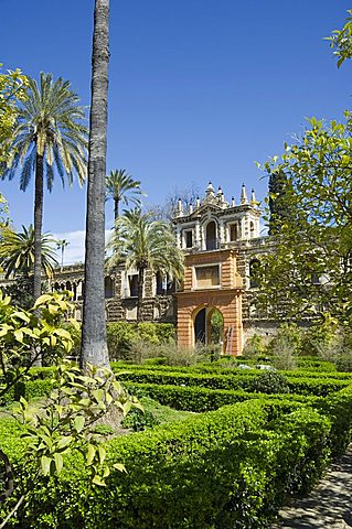 The gardens of the Real Alcazar, UNESCO World Heritage Site, Santa Cruz district, Seville, Andalusia (Andalucia), Spain, Europe