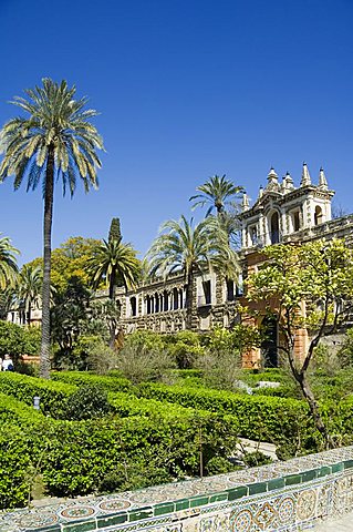 The gardens of the Real Alcazar, UNESCO World Heritage Site, Santa Cruz district, Seville, Andalusia (Andalucia), Spain, Europe