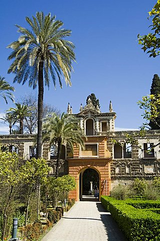 The gardens of the Real Alcazar, UNESCO World Heritage Site, Santa Cruz district, Seville, Andalusia (Andalucia), Spain, Europe