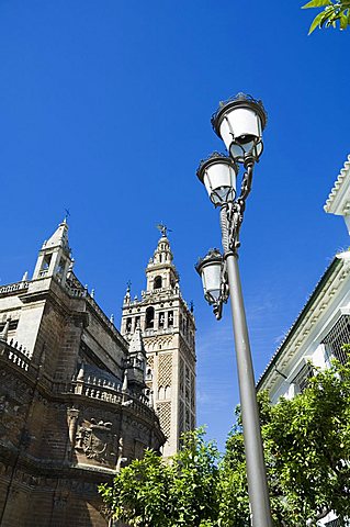 Seville Cathedral, Santa Cruz district, Seville, Andalusia, Spain, Europe