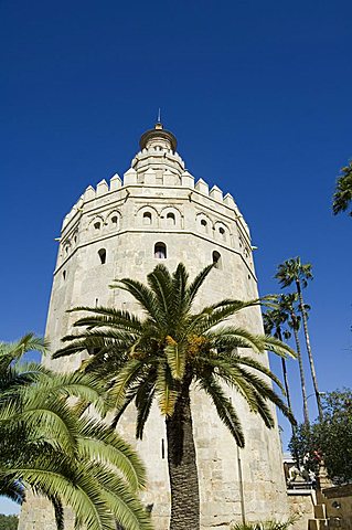 Torre del Oro, El Arenal district, Seville, Andalusia, Spain, Europe