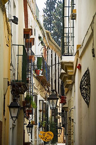 Santa Cruz district, Seville, Andalusia, Spain, Europe