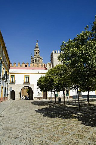 Plaza just outside the exit to the Real Alcazar with La Giralda in background, Santa Cruz district, Seville, Andalusia (Andalucia), Spain, Europe