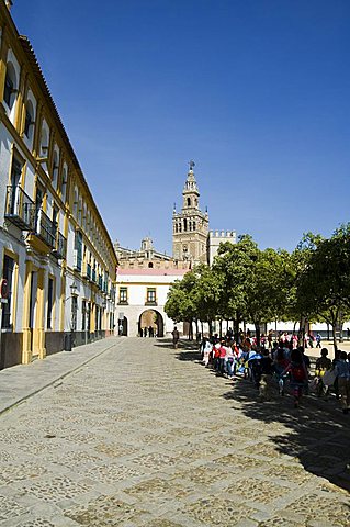 Plaza just outside the exit to the Real Alcazar with La Giralda in background, Santa Cruz district, Seville, Andalusia (Andalucia), Spain, Europe