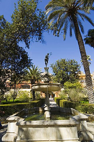 The gardens of the Real Alcazar, UNESCO World Heritage Site, Santa Cruz district, Seville, Andalusia (Andalucia), Spain, Europe