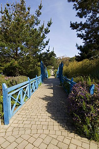 The Abbey Gardens, Tresco, Isles of Scilly, off Cornwall, United Kingdom, Europe