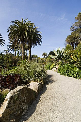 The Abbey Gardens, Tresco, Isles of Scilly, off Cornwall, United Kingdom, Europe