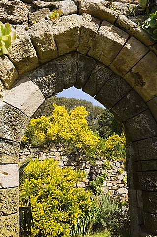 The Abbey Gardens, Tresco, Isles of Scilly, off Cornwall, United Kingdom, Europe