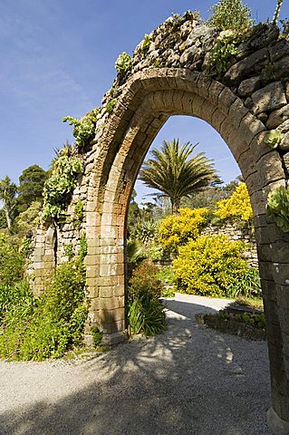 The Abbey Gardens, Tresco, Isles of Scilly, off Cornwall, United Kingdom, Europe