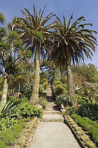 The Abbey Gardens, Tresco, Isles of Scilly, off Cornwall, United Kingdom, Europe