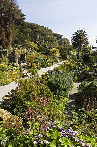 The Abbey Gardens, Tresco, Isles of Scilly, off Cornwall, United Kingdom, Europe