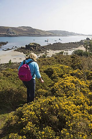 Coast, Bryer (Bryher), Isles of Scilly, off Cornwall, United Kingdom, Europe