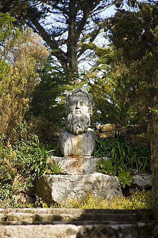 The Abbey Gardens, Tresco, Isles of Scilly, off Cornwall, United Kingdom, Europe