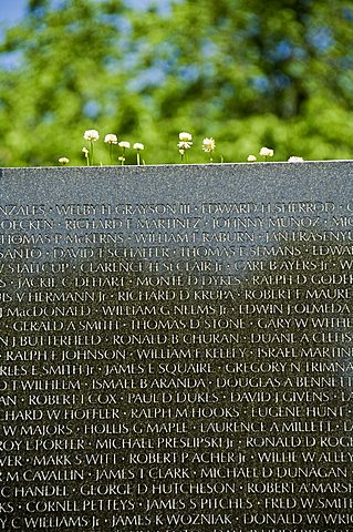 Vietnam Veterans Memorial Wall, Washington D.C. (District of Columbia), United States of America, North America