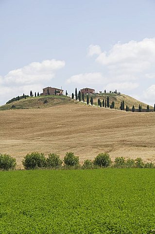 Typical views of the Tuscan landscape, Le Crete (The Crete), Tuscany, Italy, Europe