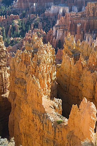 Bryce Canyon National Park, Utah, United States of America, North America