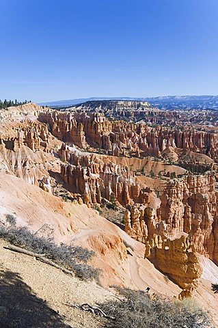 Bryce Canyon National Park, Utah, United States of America, North America