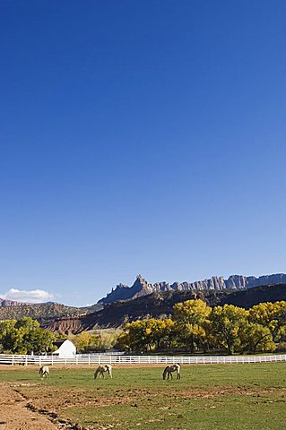 Landscape near Zion National Park, Utah, United States of America, North America