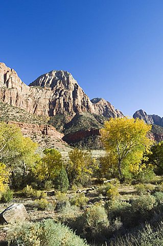 Zion National Park, Utah, United States of America, North America