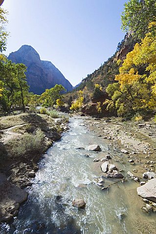 Zion National Park, Utah, United States of America, North America